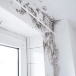 Mould removal